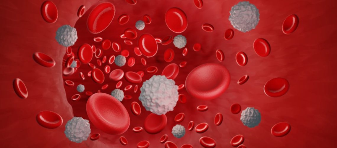 Leucocytes (globules blancs) : quel est leur rôle ? Comment interpréter leur taux ?